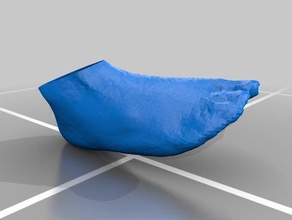 right foot hollow 3d printing 3d print model - Mito3D