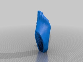 foot heelless 3d printing 3d print model - Mito3D