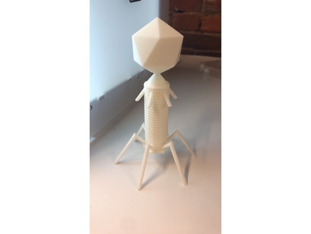 bacteriófago 3d la impresión bacterias biología microbiología virus 3D print model - Mito3D