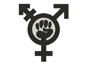 trans-feminista símbolos sinais logotipos o feminismo ideologia político política socialismo socialista 3d print model - Mito3D