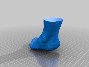 foot 3d printing 3d print model - Mito3D
