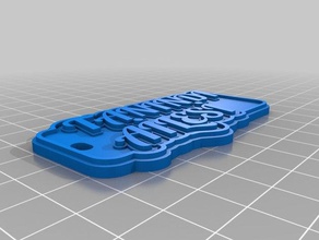 tanindi Schlüsselanhänger angepasst 3d print model - Mito3D