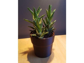 simples vaso de flores 3 polegadas 75 cm pequeno ao ar livre jardim cactus plantador 3d print model - Mito3D