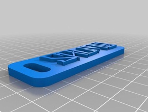 salmo keychain keychains 3d print model - Mito3D