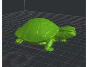 trump tartaruga creature 3d print model - Mito3D