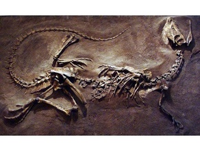 dilophosaurus de fósiles dinosaurios otros 3d print model - Mito3D