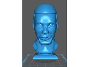 stephen curry people 3d print model - Mito3D
