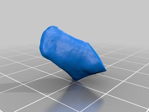 residual de los pies la gente 3d print model - Mito3D