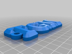 tgm Anahtarlık organizasyon özelleştirilmiş 3d print model - Mito3D