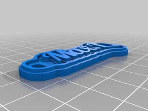 porte cl&egraves maxime lenfant Schlüsselanhänger angepasst 3d print model - Mito3D