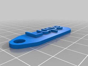 meu personalizada chaveiro tag lupe organização 3d print model - Mito3D