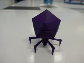 bacteriophage t7 learning 3d print model - Mito3D