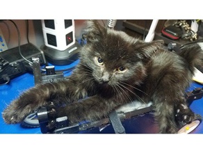 kedi mobilite cihazı, tekerlekli sandalye declans arabası evcil hayvan erişilebilirlik yardımcı aygıt protez 3d print model - Mito3D