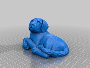 hollow dog animals 3d print model - Mito3D
