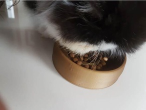 pet kase küçük burunlu hayvanlar kedi Pera 3d print model - Mito3D