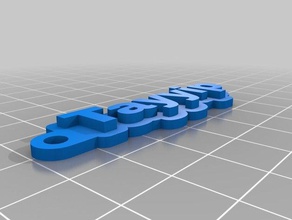 tayyip Anahtarlık özelleştirilmiş 3d print model - Mito3D