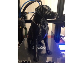 labrador hembra exploraciones las réplicas los perros 3d print model - Mito3D