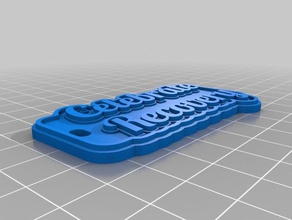 celebrate my customized multiline tag keychain other 3d print model - Mito3D