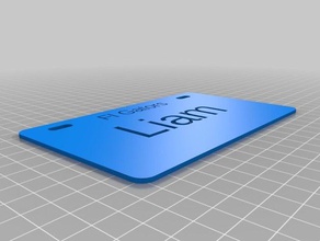fl gator Platte sport im freien angepasst 3d print model - Mito3D
