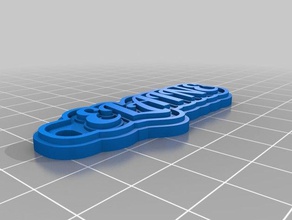 mi personalizados multilínea tag llavero de elaine llaveros 3d print model - Mito3D