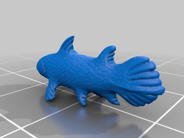 ceolacanth animals coelacanth fish prehistoric 3D print model - Mito3D