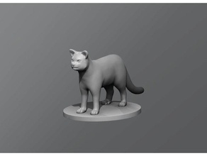 cat - Spielzeug Spiele Tier dd dungeons dragons Tischplatte 3d print model - Mito3D