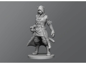 cat rogue toys games dd dungeons dragons tabletop 3d print model - Mito3D