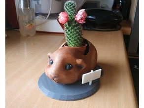 cobaia flower pot fleurs cochon dinde decoração presente pathfinder animal de estimação suporte 3d print model - Mito3D