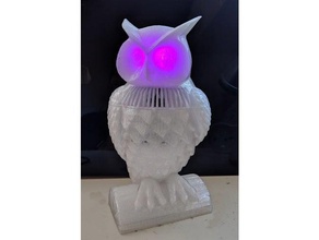 wise owl computer amazon alexa echo dot 3d print model - Mito3D