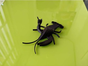rock lobster keychain animals 3d print model - Mito3D