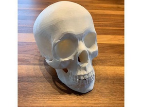 human skull hollow people 3d print model - Mito3D