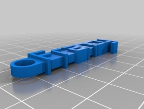 clave de la cadena organización personalizado 3d print model - Mito3D