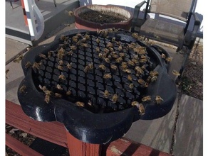 bee feeding dish honeycomb center outdoor garden 3d print model - Mito3D