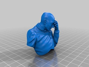 picard facepalm persone 3d print model - Mito3D