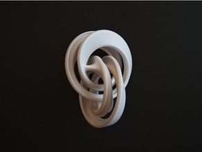 twist art abstraite de la boucle mobious webshocker 3d print model - Mito3D