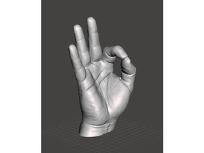 la mano derecha del modelo gente 3d print model - Mito3D