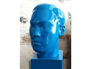 head sculpture master tiger kim scans replicas 3d recontruction blender 3d print model - Mito3D