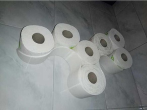 toilet paper storage bathroom openscad holder roll 3d print model - Mito3D