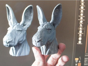 kangaroo head commission example animals australia outback sculpt sculpture sketch 3d print model - Mito3D