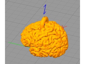 Gehirn Oberfläche Schlüsselanhänger 3d print model - Mito3D