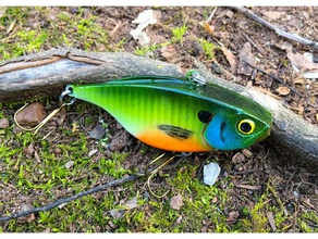 lipless crankbait sport outdoors fishing lure 3d print model - Mito3D
