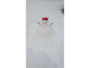 uomo di neve allegati naso, occhi, braccia giocattolo gioco accessori 3d print model - Mito3D