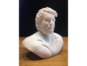 bud spencer bust- no support cut sculptures filapin 3d print model - Mito3D