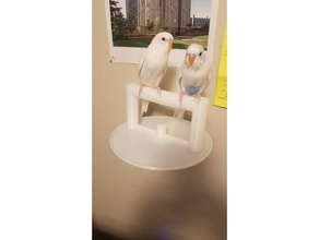 modular bird perch walls pets birds parakeet wall mount 3d print model - Mito3D