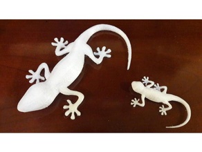 salamandre les créatures animaux de la fantaisie jouet jouets 3d print model - Mito3D