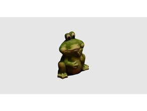 frog scans replicas 3d scan 3d print model - Mito3D