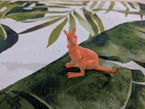 kangaroo biology 3d scan australia toy 3d print model - Mito3D
