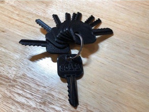 schlage sc1 5 pin house key wlabel plus depth files diy door keys lock 3d print model - Mito3D