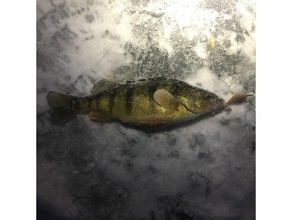 ghiaccio manovella pesca jigging richiamo all'aperto giardino esca esche basso di bass fresco stampa crankbait pesce lure rap lipless pan lusso 3d print model - Mito3D