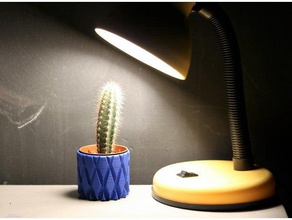 pots decor cactus sukkulente 3d print model - Mito3D